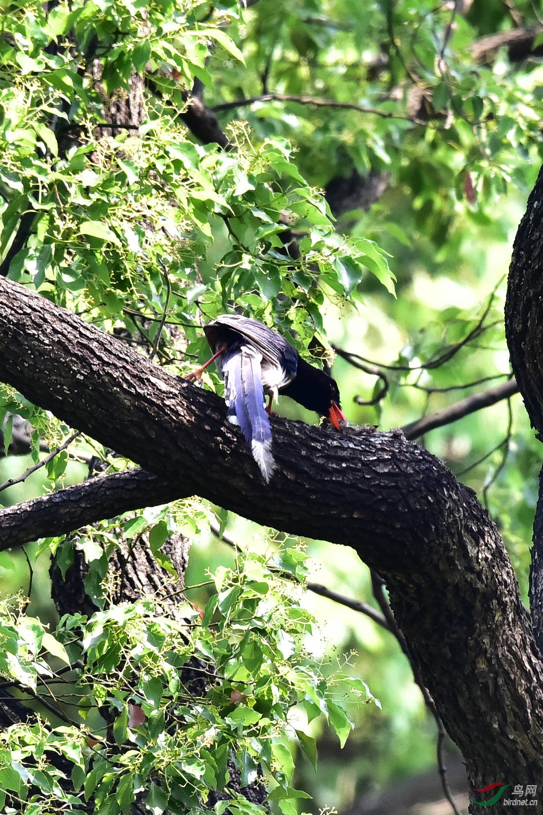 DSC_0511.JPG