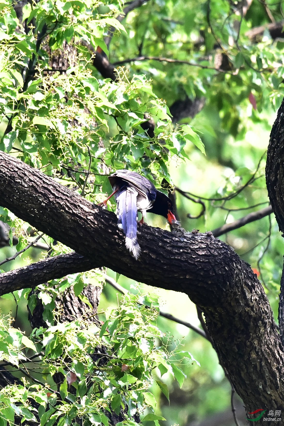 DSC_0512.JPG