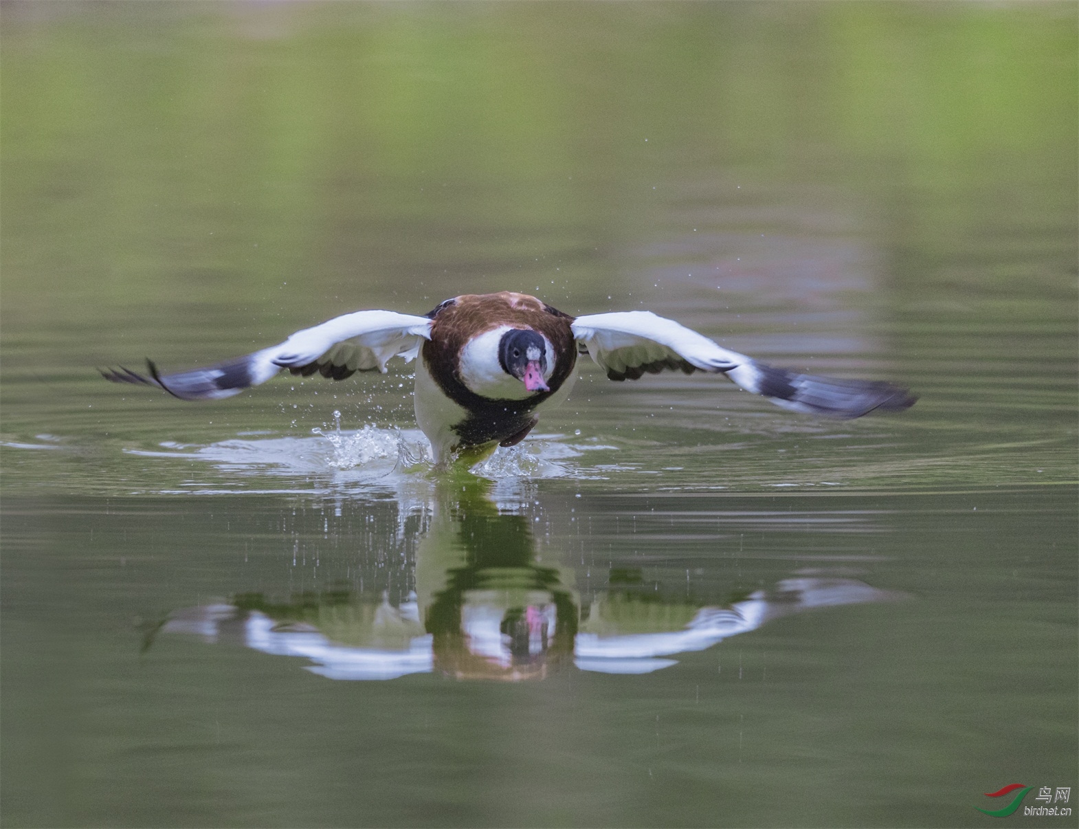 4 - ���� (2).jpg