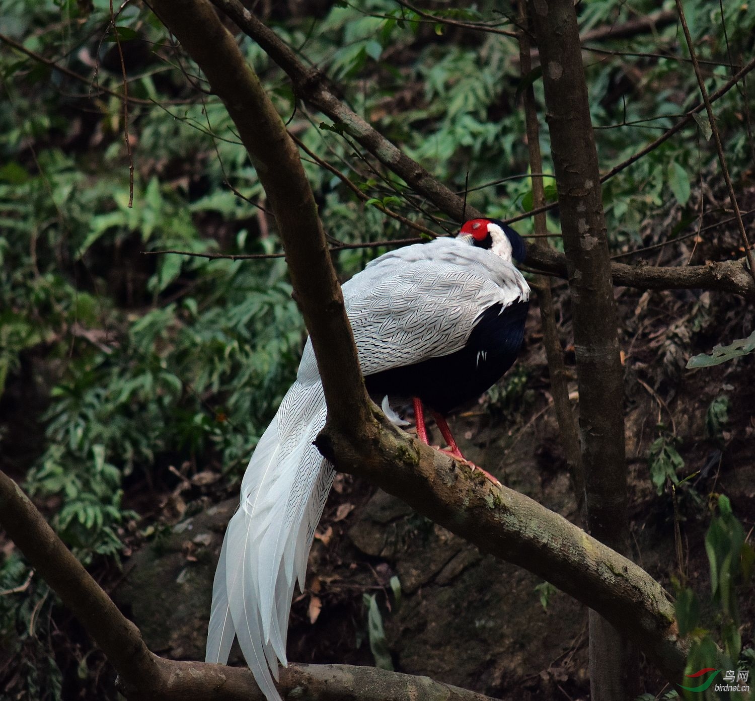 D72_5974.jpg