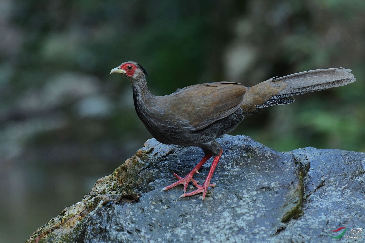D72_5128.jpg