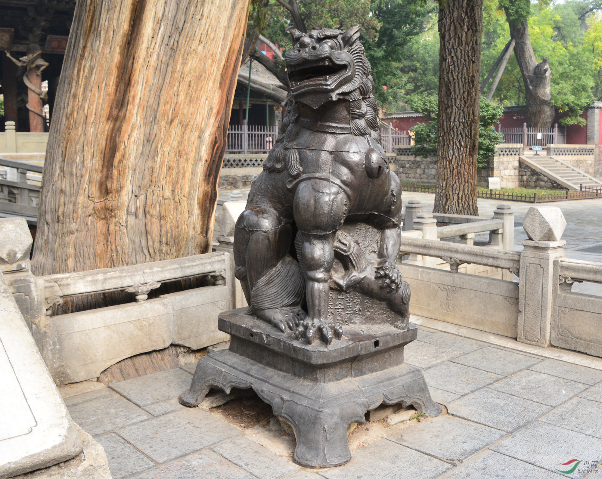 ������Ӱ 217����.jpg