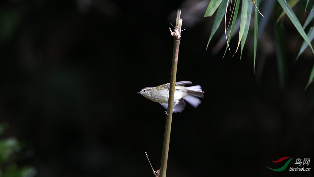 AU7R1425.jpg