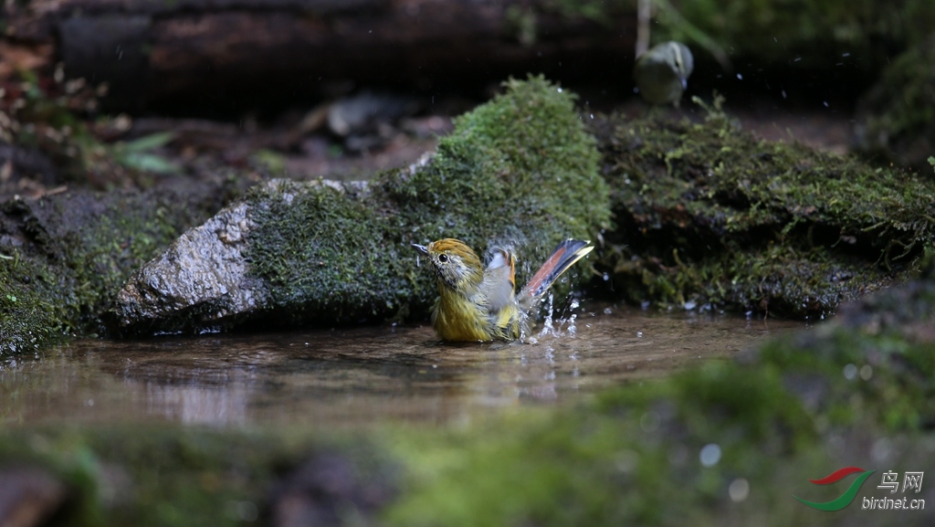 AU7R0946.jpg