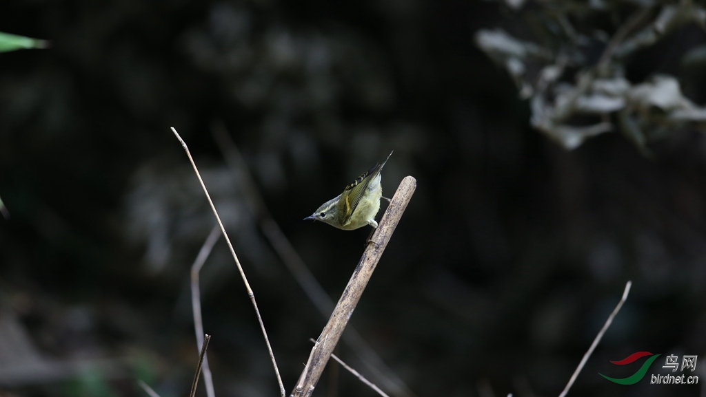 AU7R0839.jpg