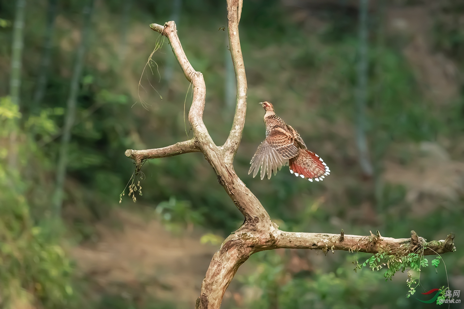 _DSC7297-2.jpg