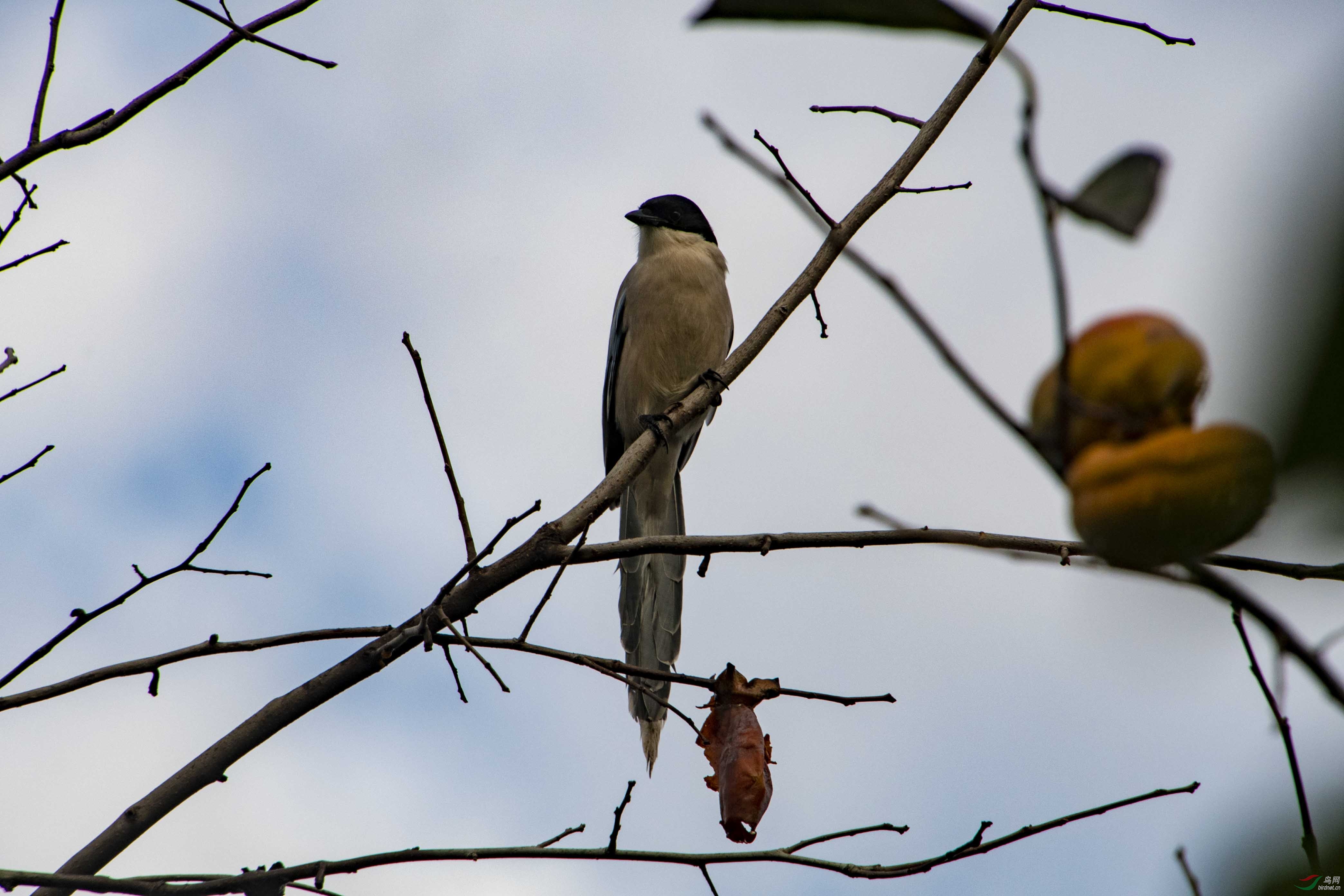 D50_5624.jpg