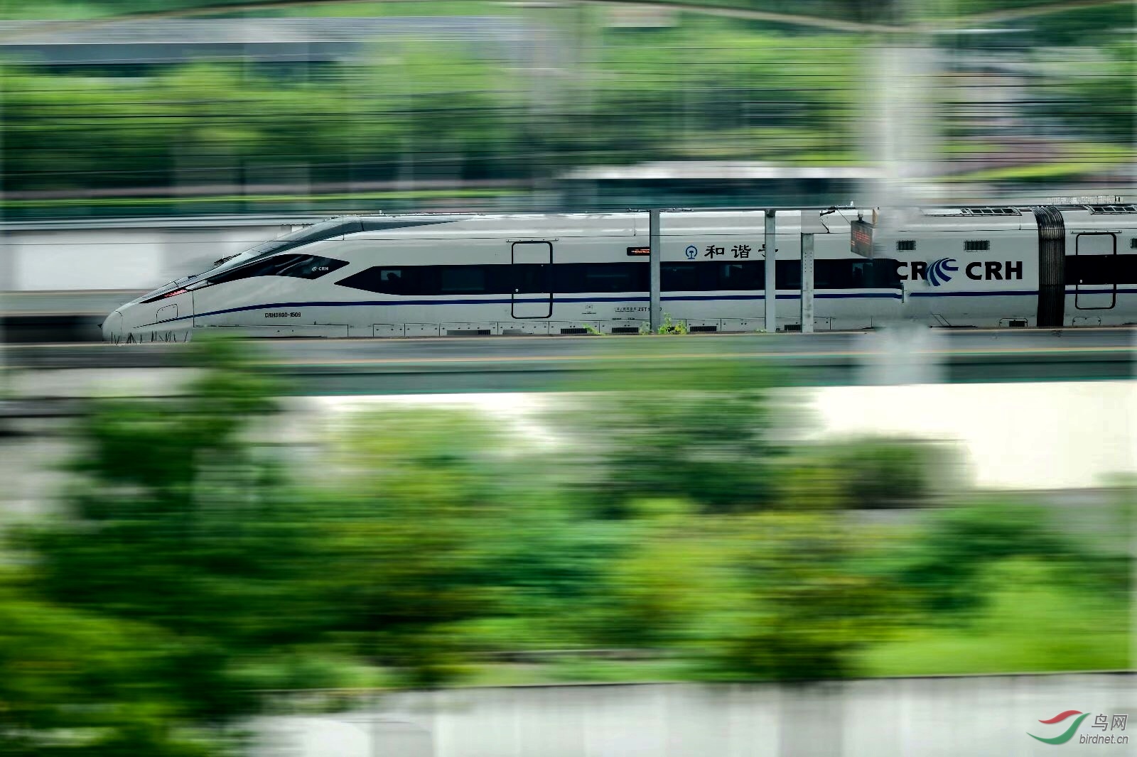 165C469F-CA85-453A-A2A8-8D556DEAD5C0.jpeg