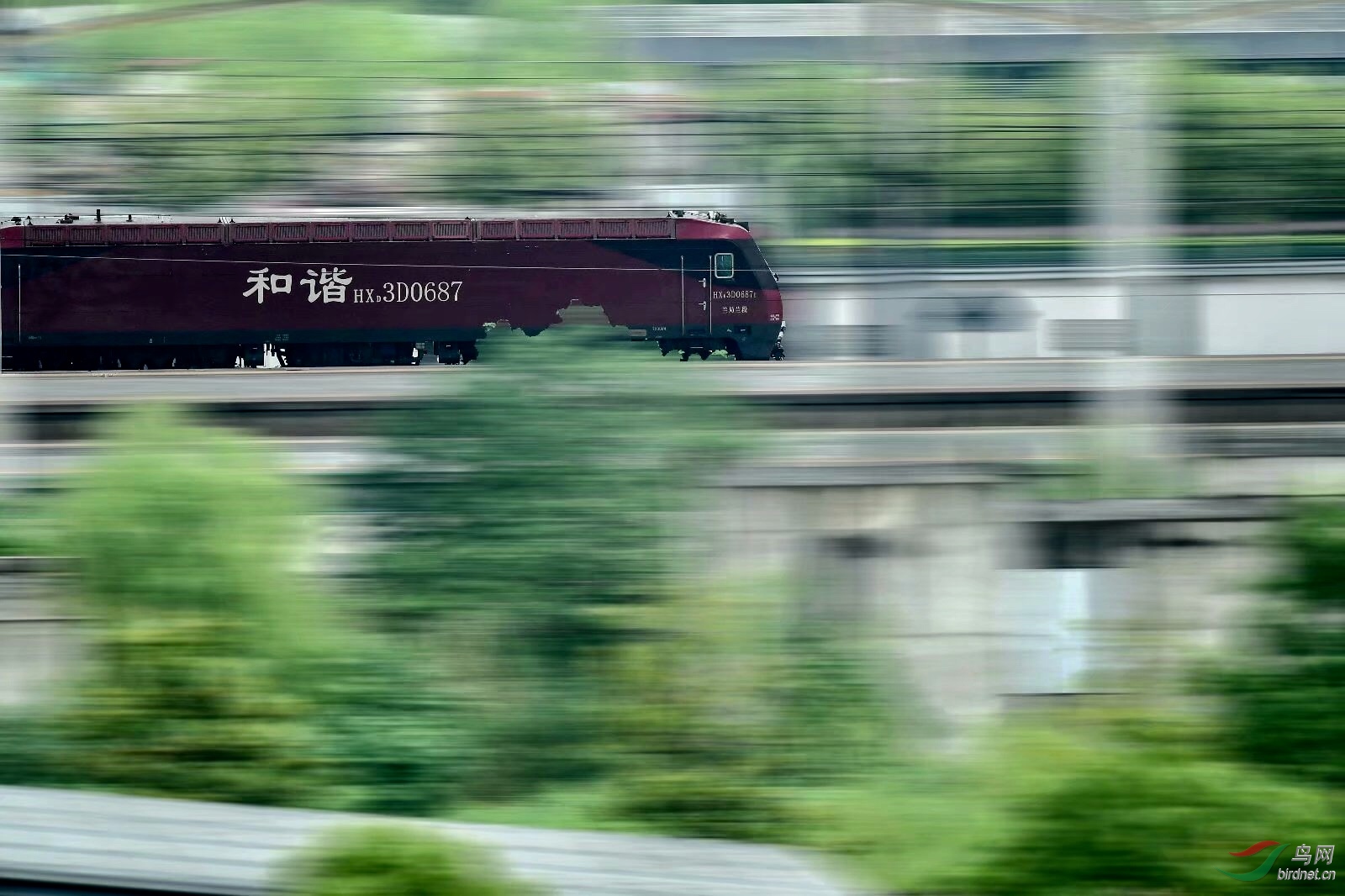 815D56A9-761B-4E94-9515-8D450C635EE1.jpeg