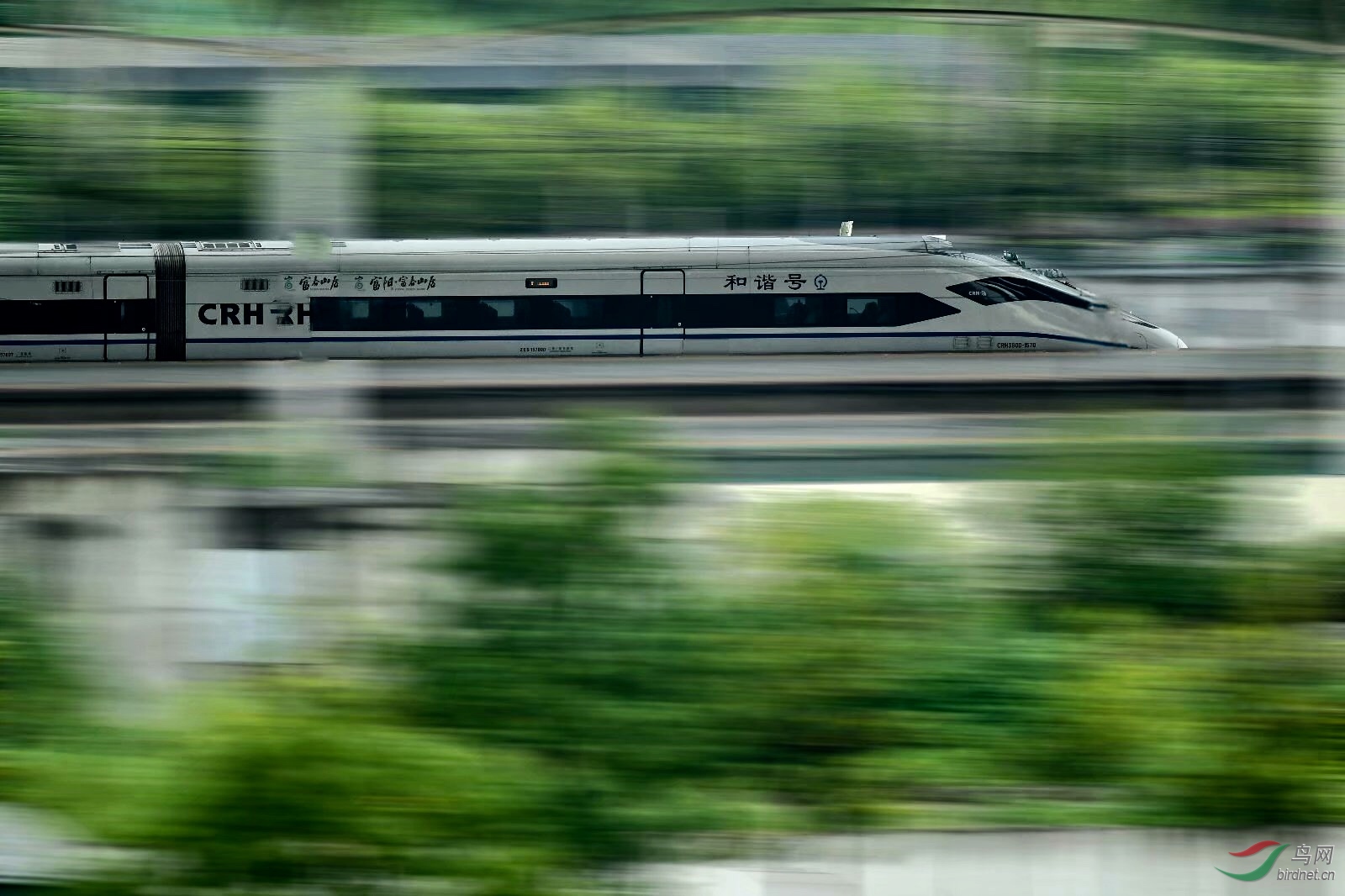 78790846-426E-414E-A806-2711099C0977.jpeg
