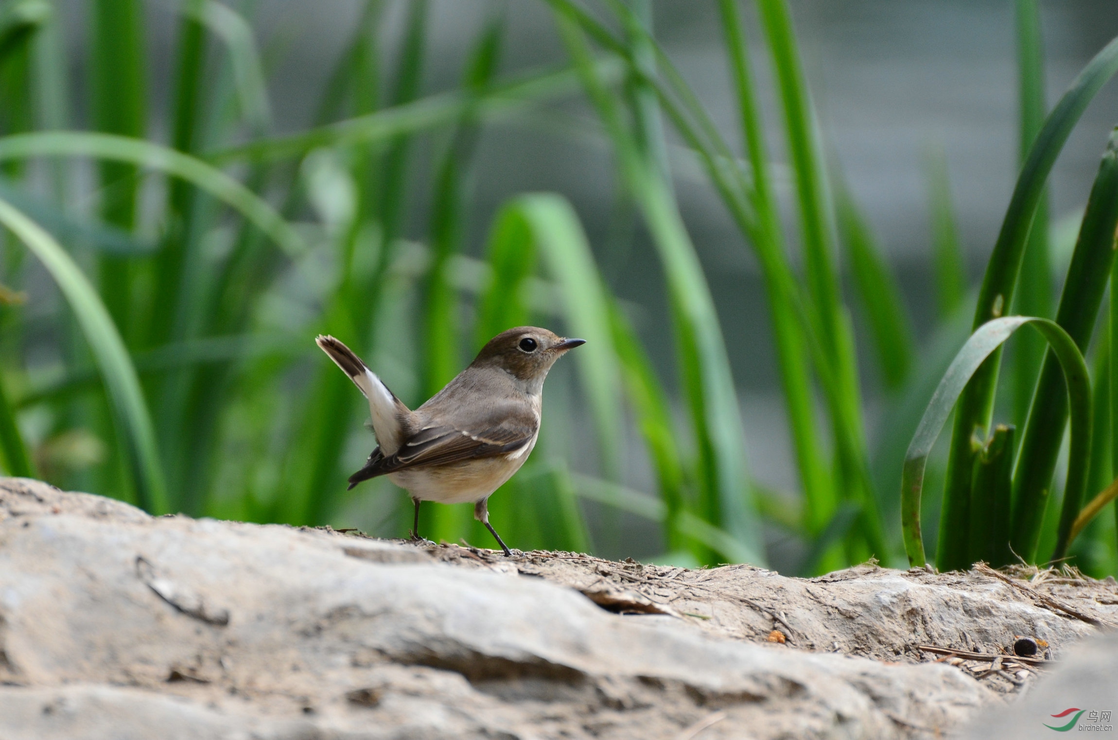 DSC_3568.JPG