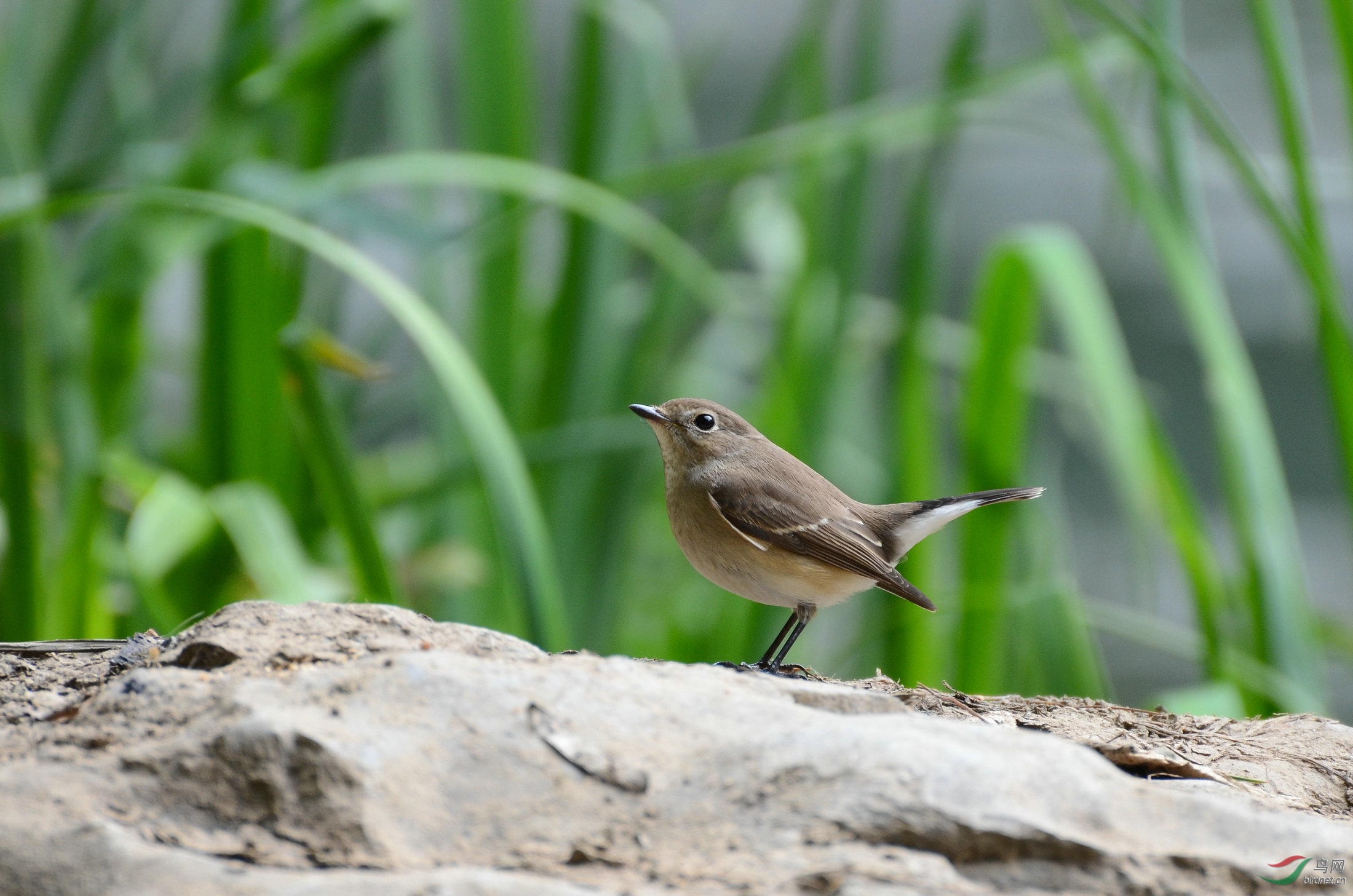 DSC_3581.JPG