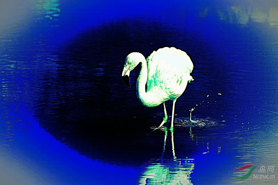 BW6I0209_����_����1_����2_����1_����1_����_����1_����.jpg