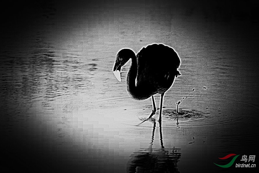 BW6I0209_����_����1_����1_����.jpg