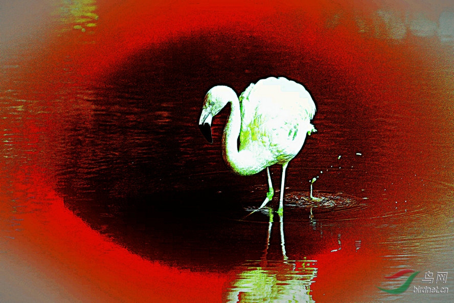 BW6I0209_����_����1_����2_����1_����1_����_����.jpg