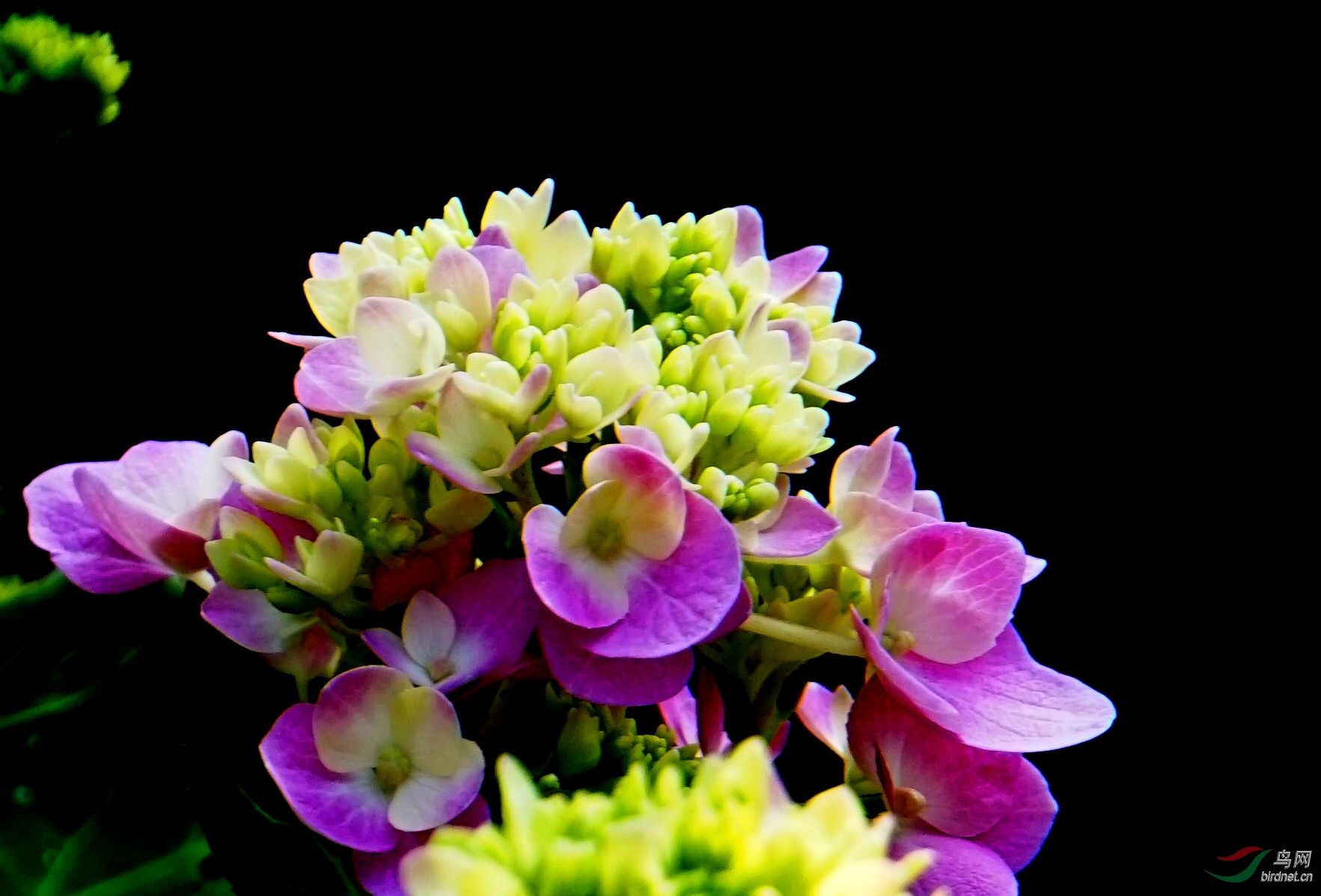 DSC06503.JPG