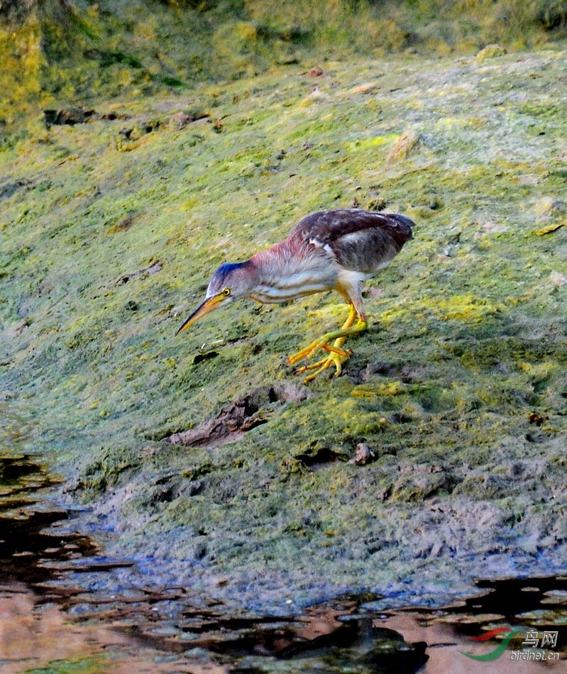 DSC_6355.JPG