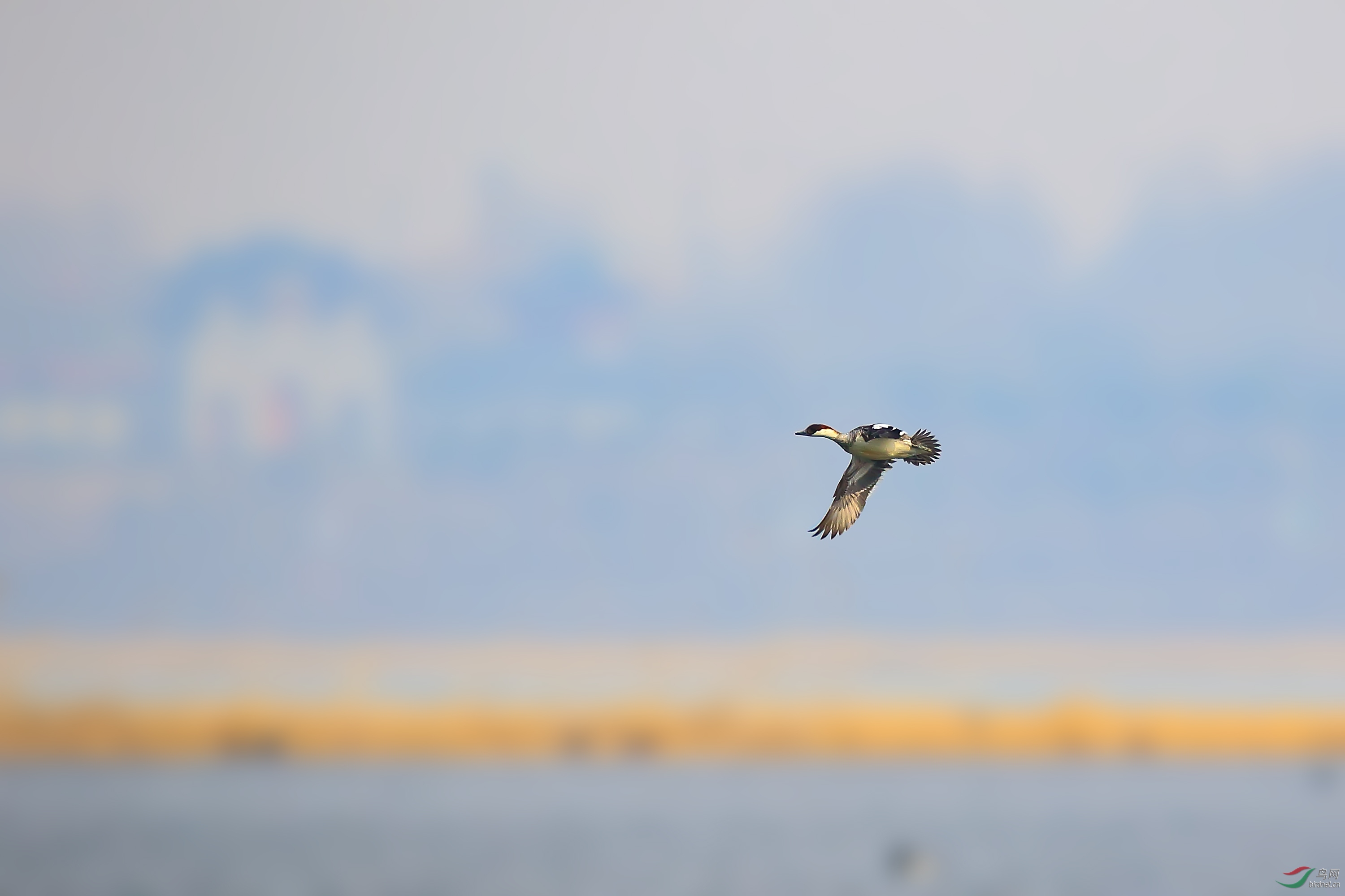 ���Դ�����