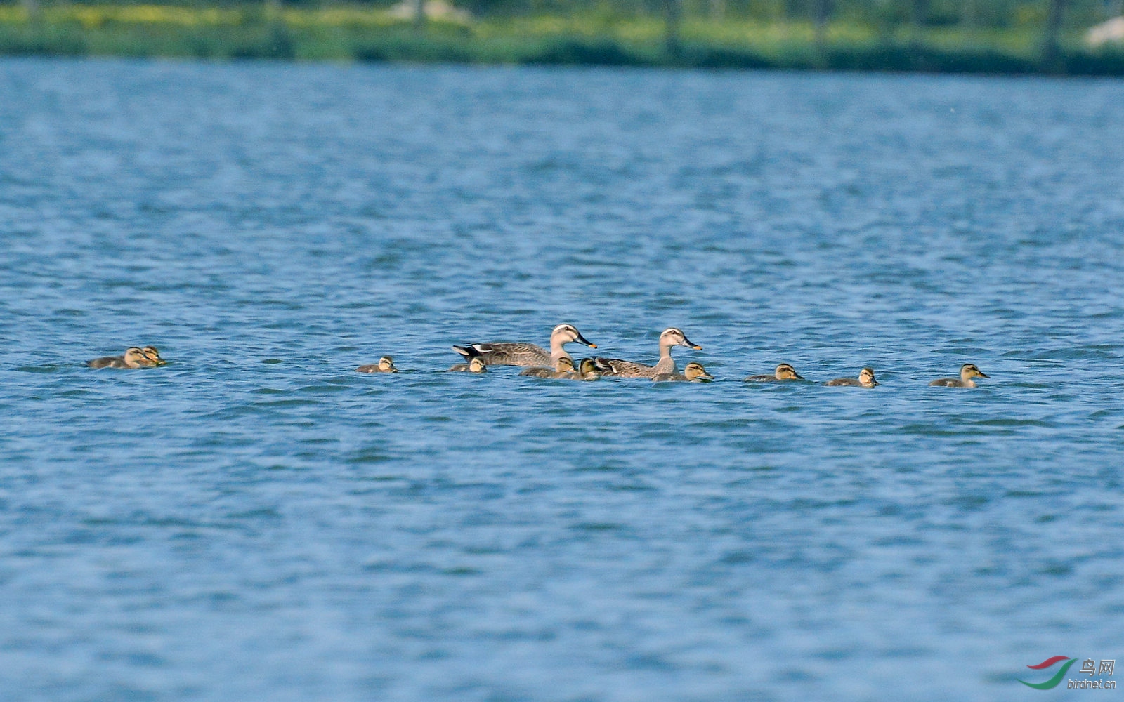 DSC_8960.JPG