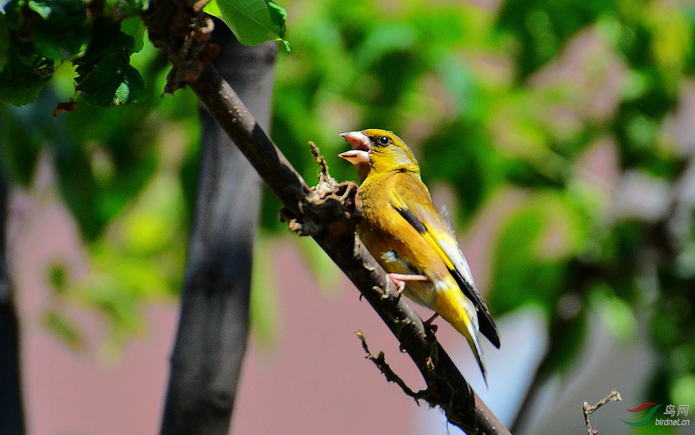 ���� DSC_7727.JPG