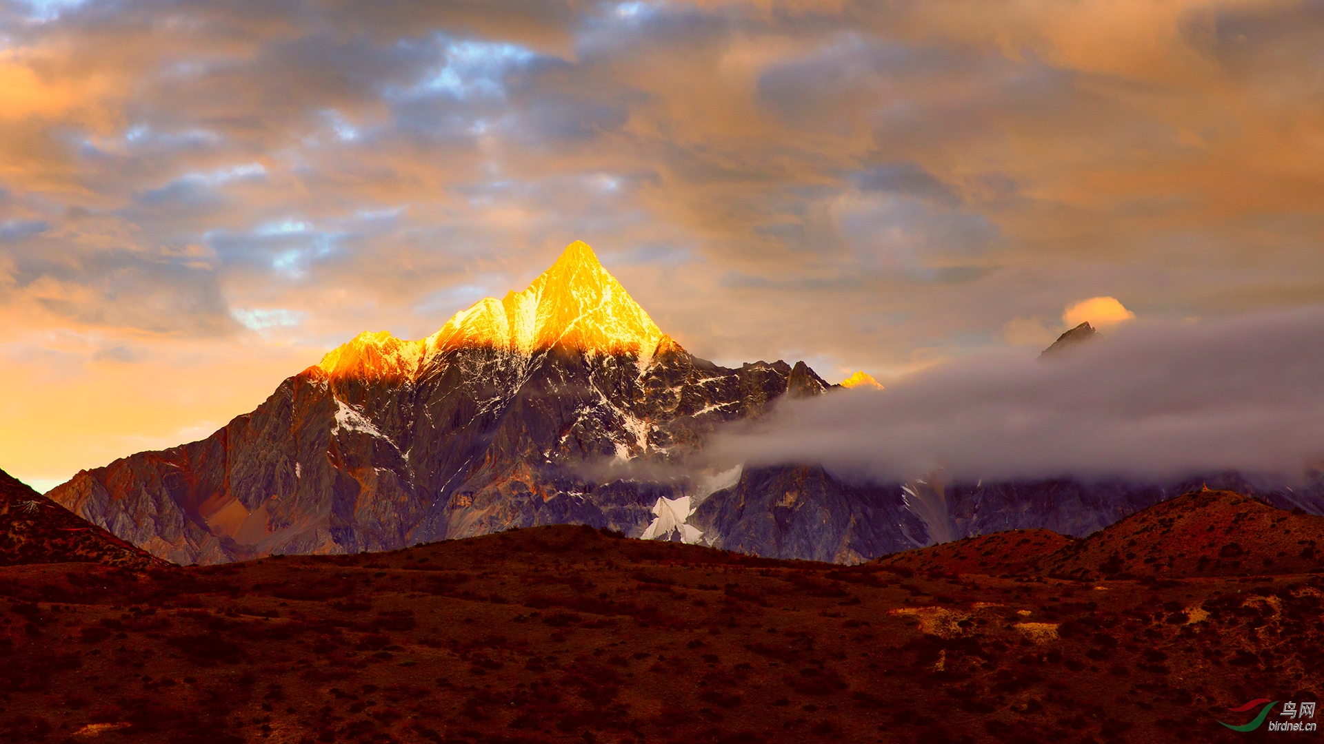 金山首页(2023已更新(闽南网/知乎)-第1张图片-西安论坛资讯