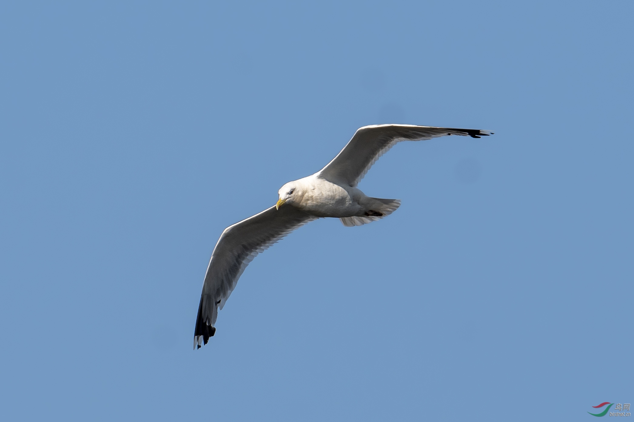 _DSC4563191014.jpg