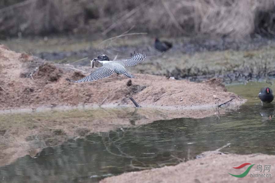 20180224-DSC01012-58 - ����.JPG