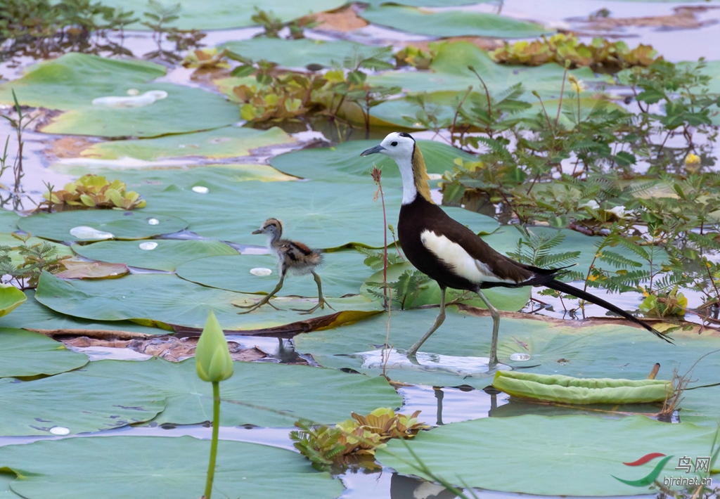 3S5A3026  01_����.jpg