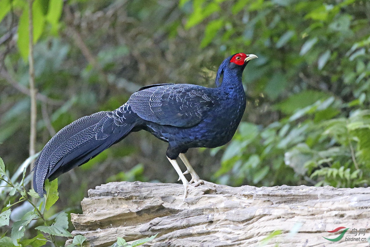 CK6K0163.JPG