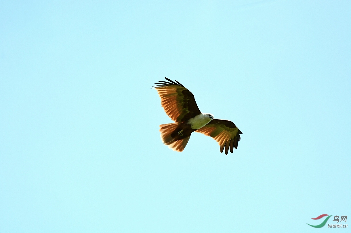 DSC_7038.jpg