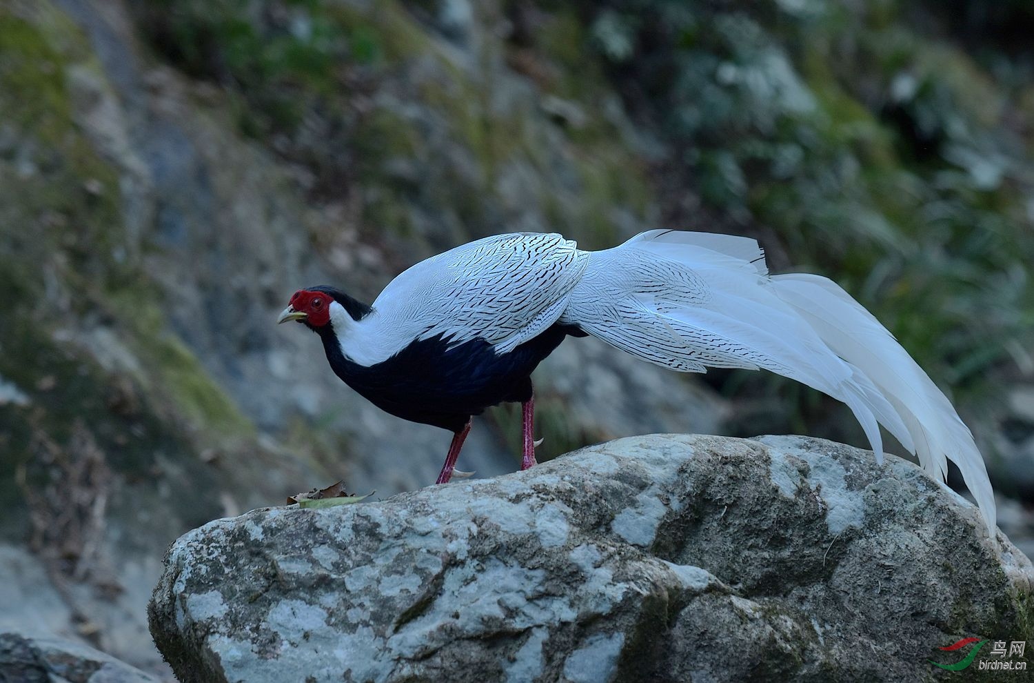 D72_5194.jpg