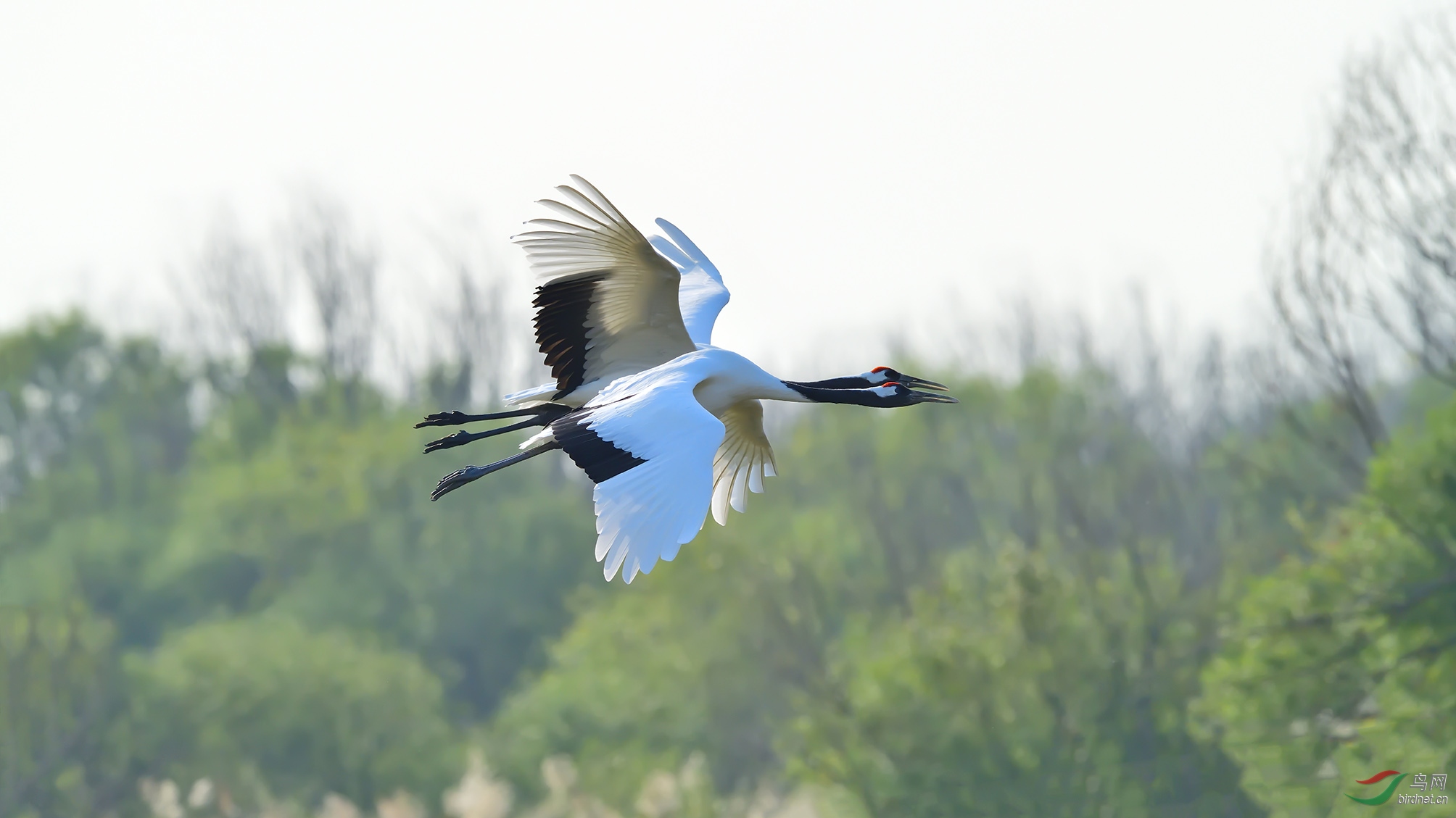 DSC_8228_��Ӱ���� �ϴ�.jpg