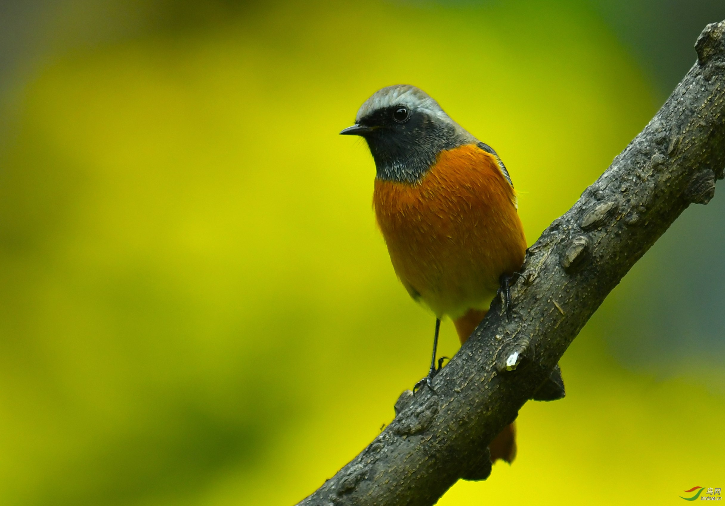 DSC_7846.JPG
