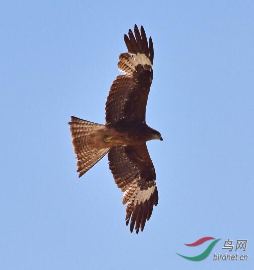 QQ��ͼ20191014182712.jpg