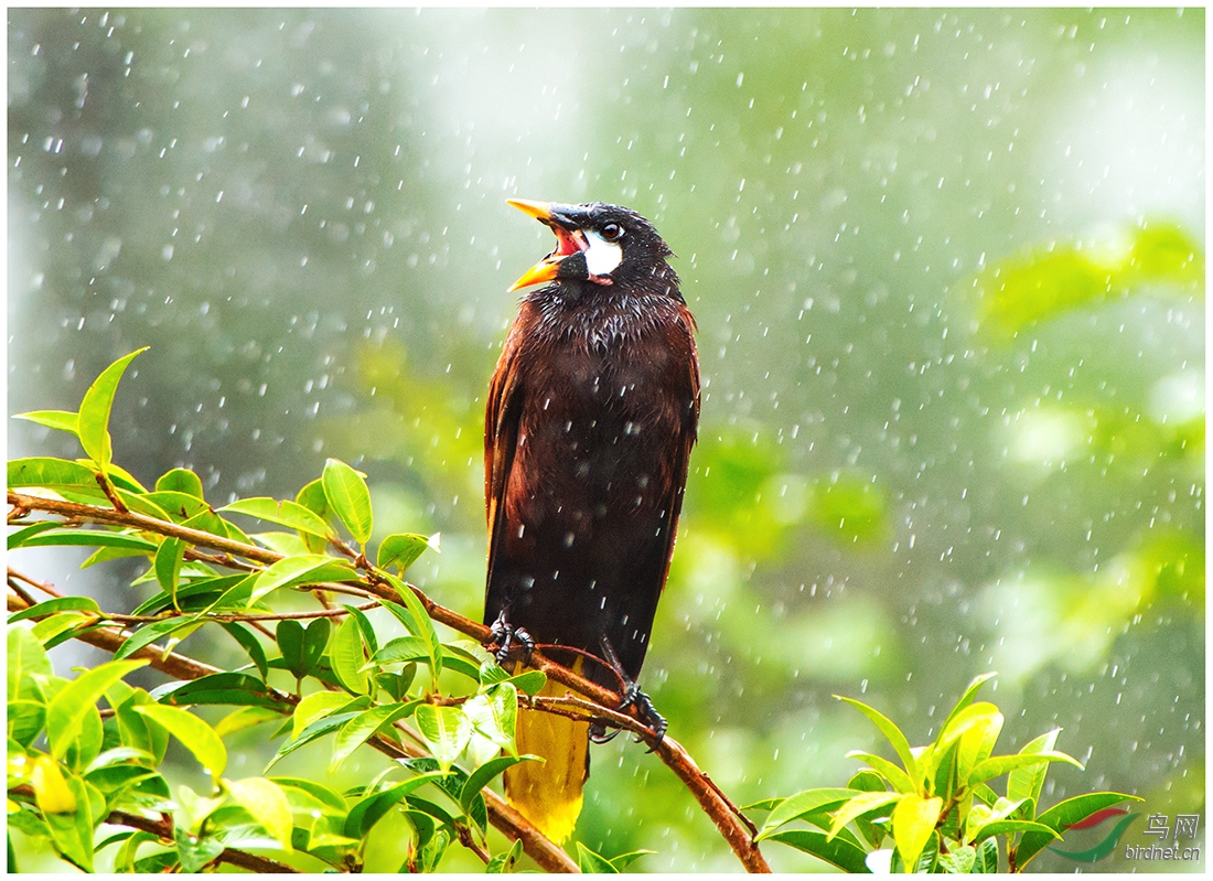 DSC_3048 ���^�M��B.jpg