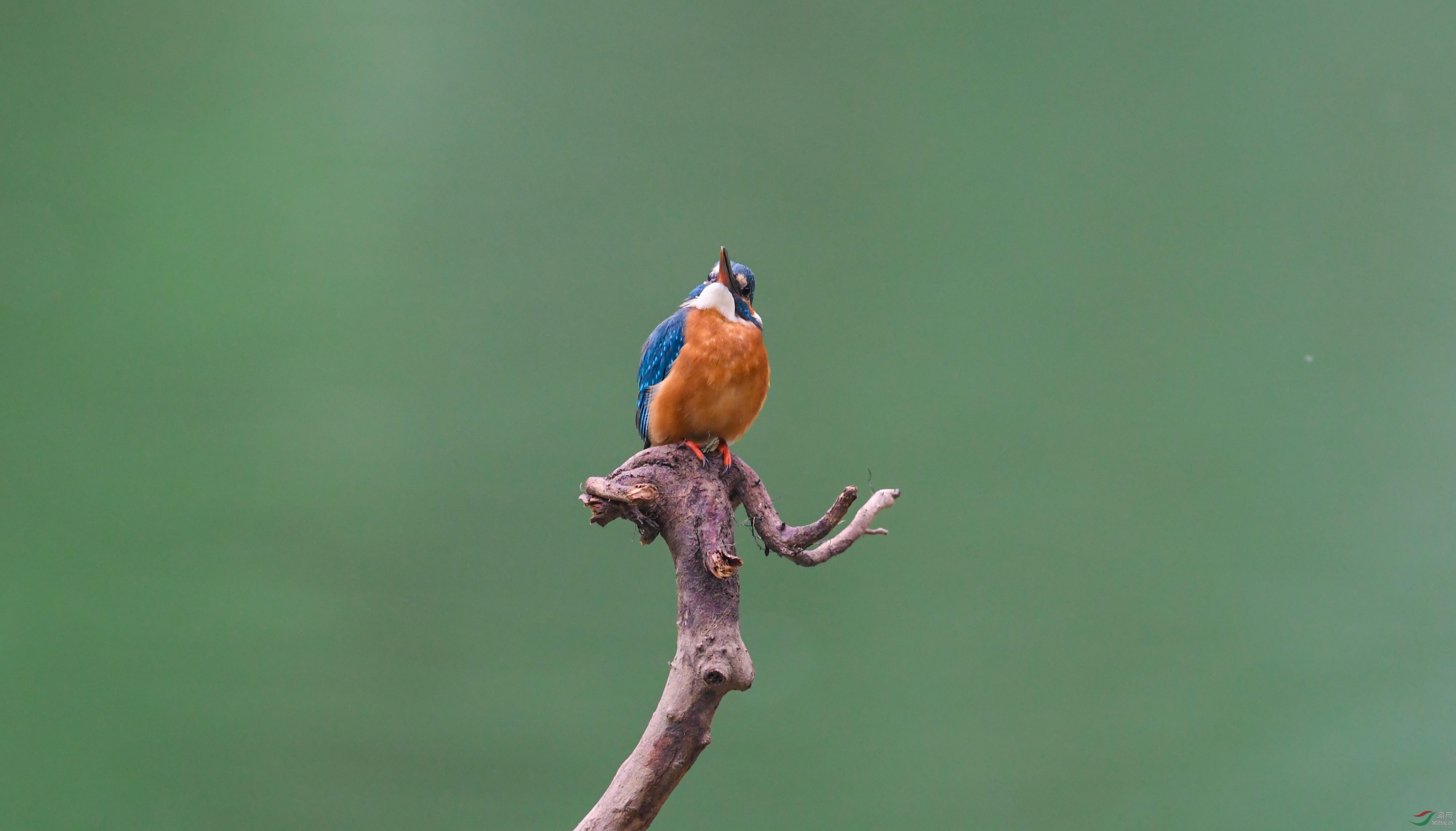 DSC_6260.JPG