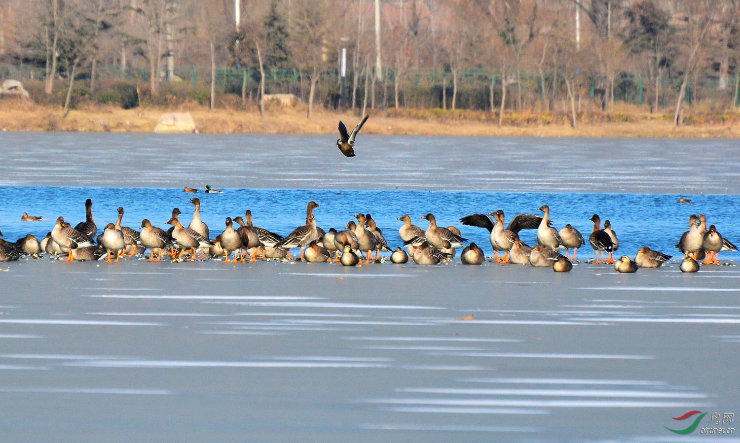 DSC_6277.JPG