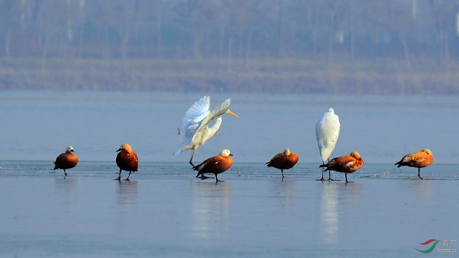 DSC_0146.JPG