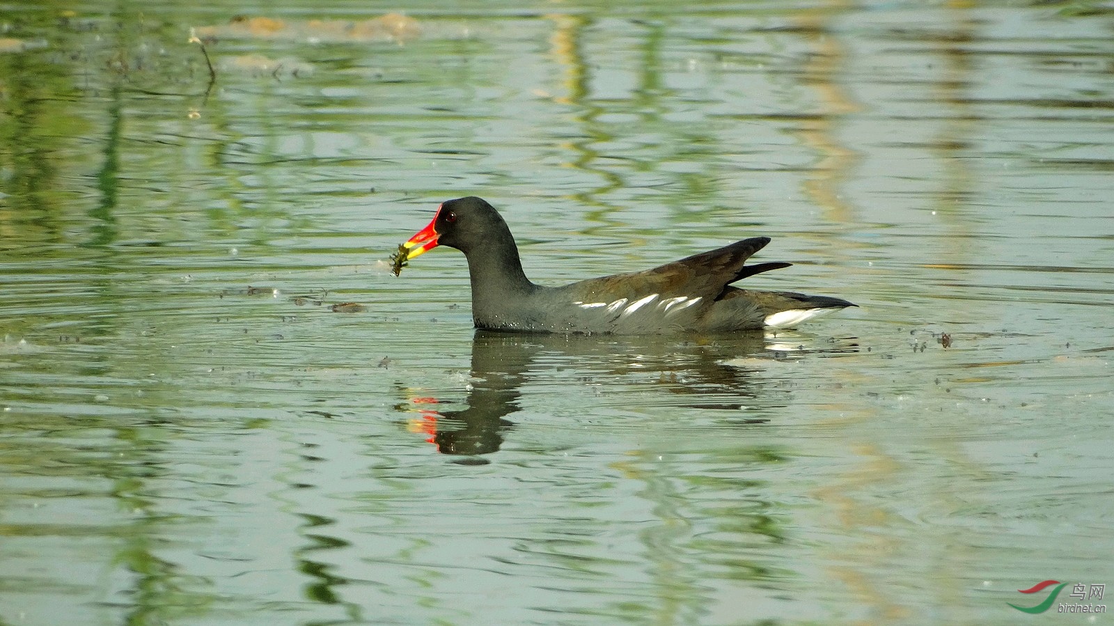 DSC04011.JPG