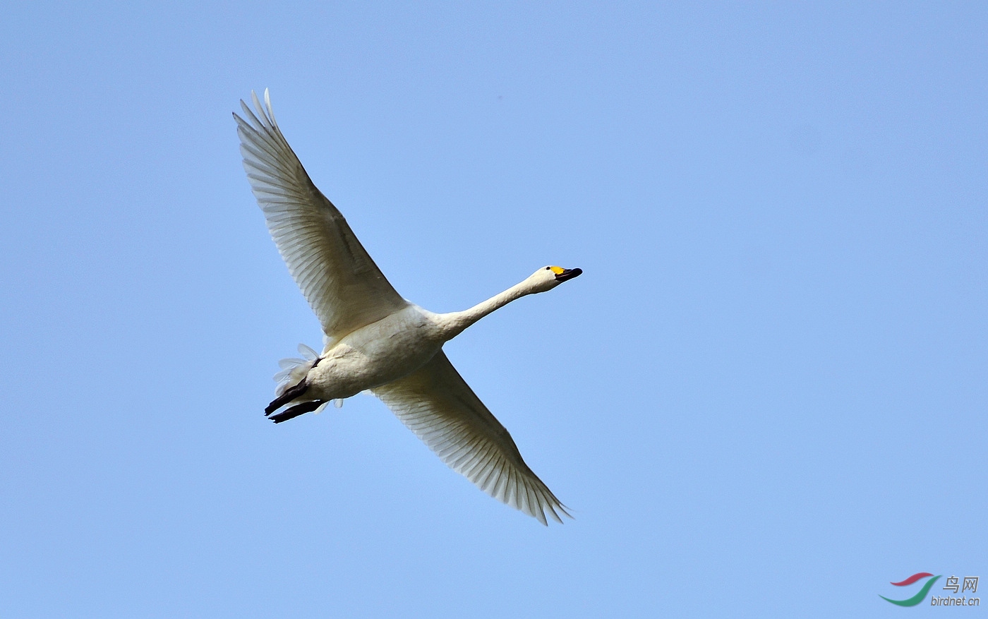 DSC_9687.JPG