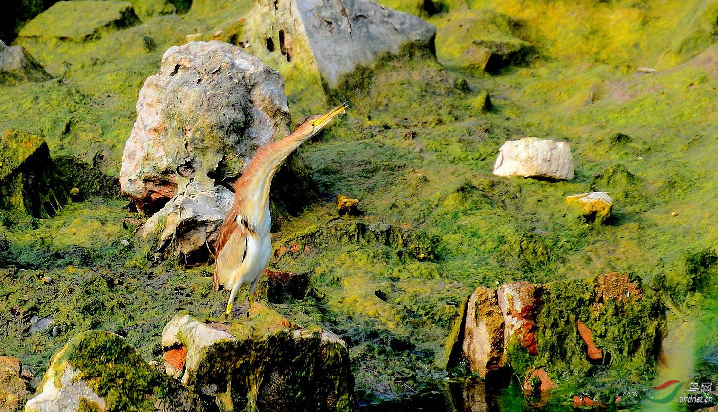 DSC_6303.JPG