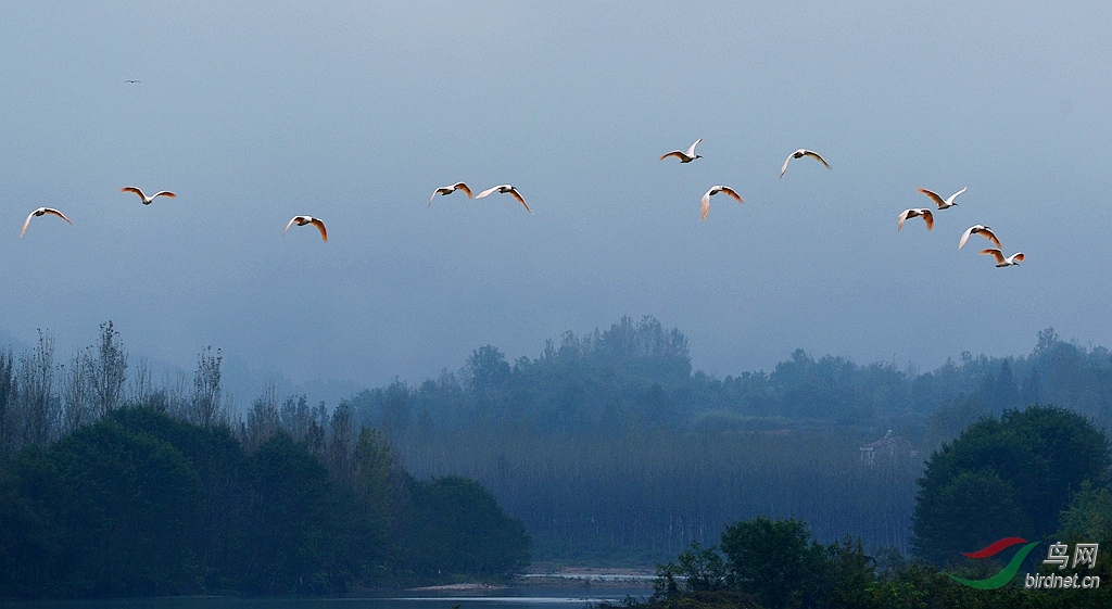 DSC_6278.JPG