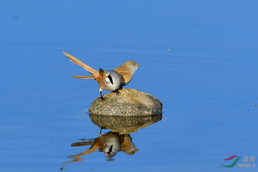 DSC_6835_��ͼ��.jpg