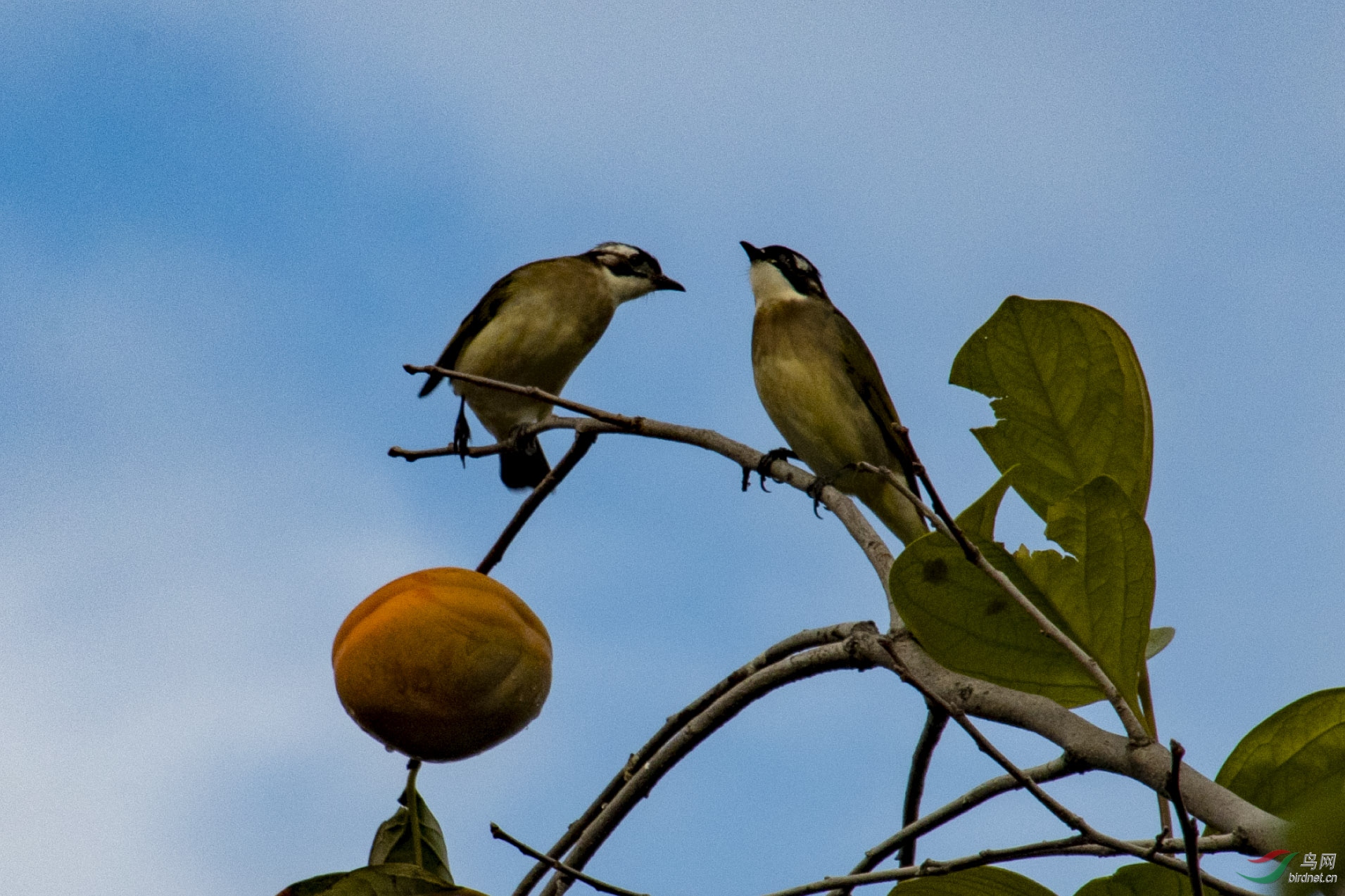 D50_5714.jpg