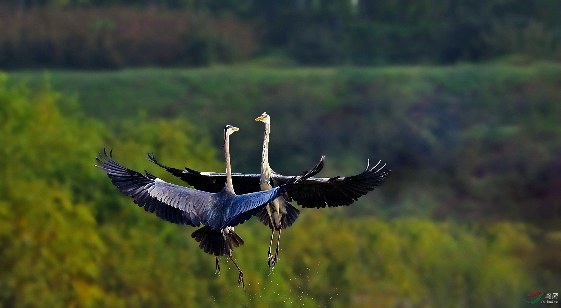 DSC_0673_����.jpg