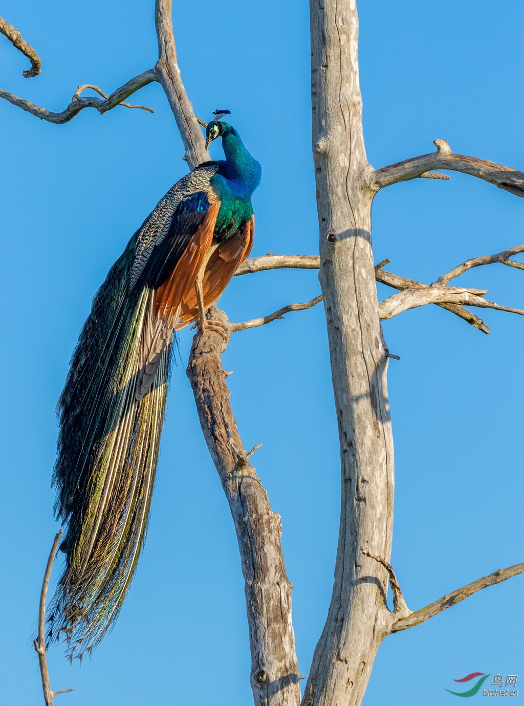 3S5A3923  01_����.jpg