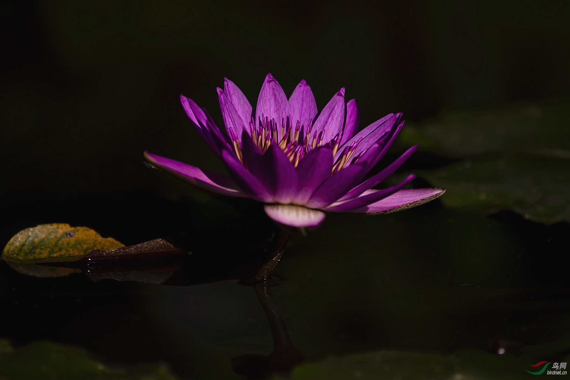 DSC_5856_����.jpg