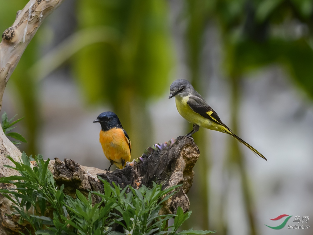 DSC_2654.jpg