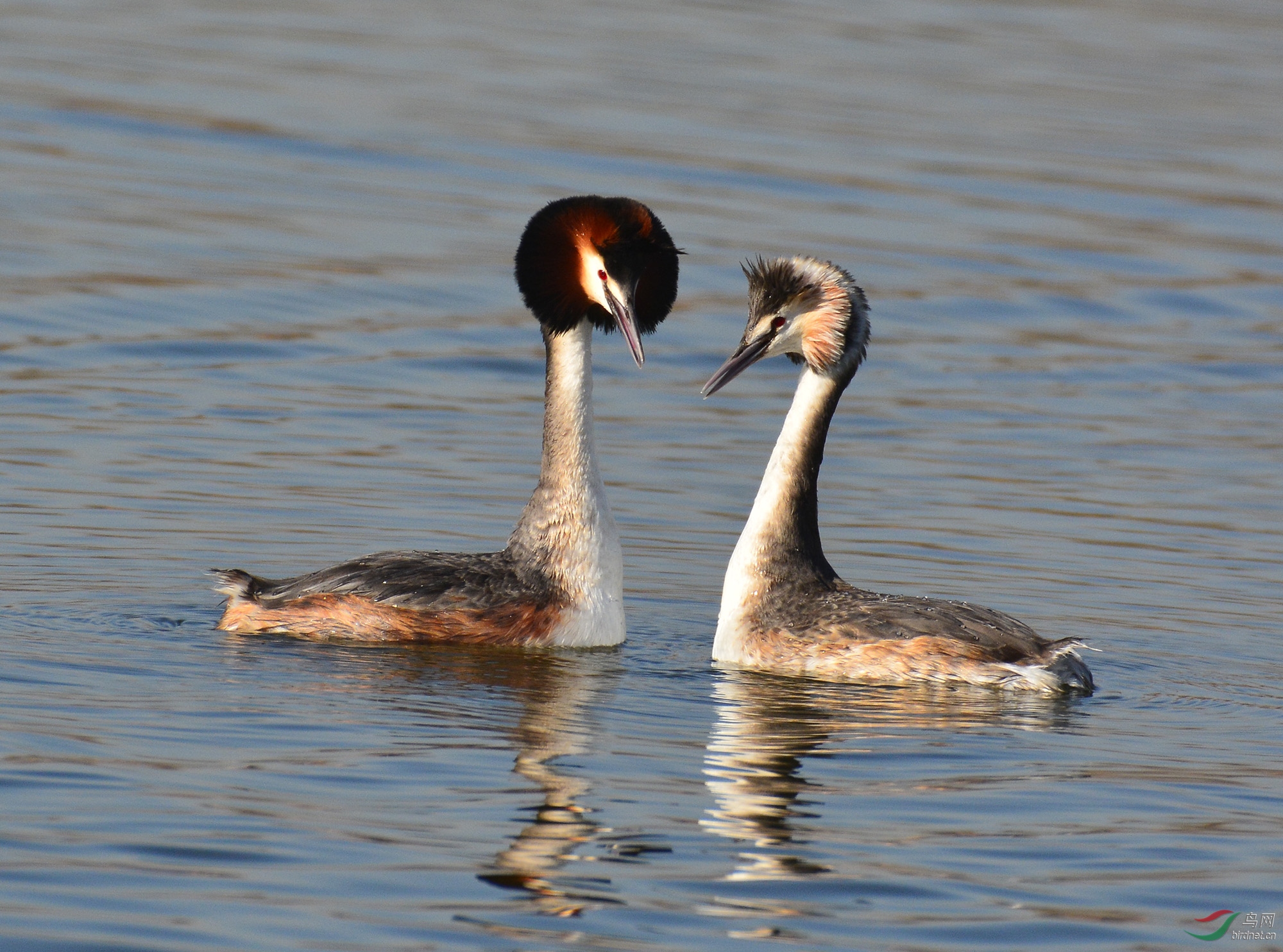 ������Ӱ 524����.jpg