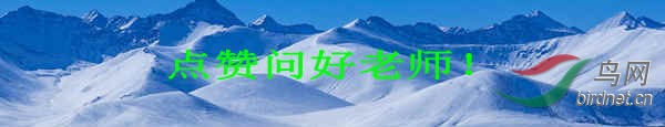 IMG_2768_.jpg